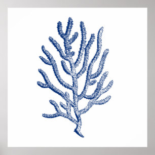Minimalistisch koraal in blauw poster