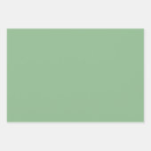 Minimalistisch modern lichtgroen inpakpapier vel (Voorkant 3)