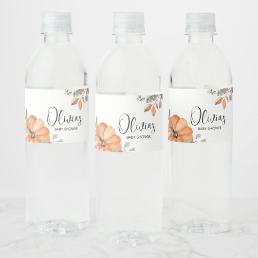 Minimalistisch pompoen Baby shower Waterfles Etiket (Flessen)