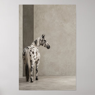 Minimalistisch portret van een gevlekt wit paard poster