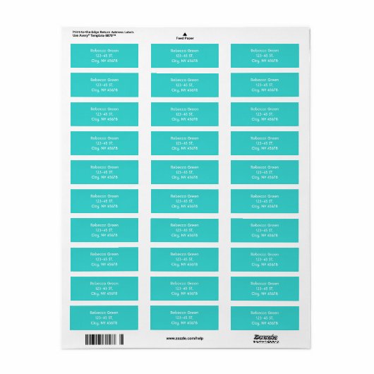 Minimalistisch preppy chic aqua blauw turquoise bl etiket (Full Sheet)