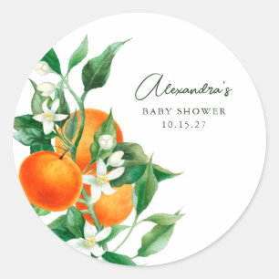 Minimalistisch Sinaasappel botanisch Baby shower Ronde Sticker