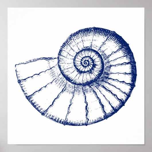 Minimalistisch Zee Shell Nautilus Poster (Voorkant)