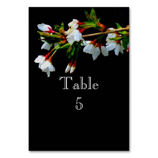 Minimalistisch Zwart Wit bloeiende Kersenbloesem Kaart (Voorkant)