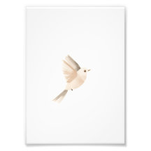 Minimalistische affiche vogel in vlucht – Zachte m
