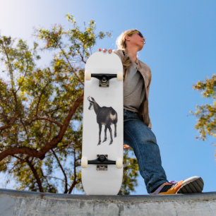 Minimalistische Alpine Chamois berggeit op sneeuw Skateboard