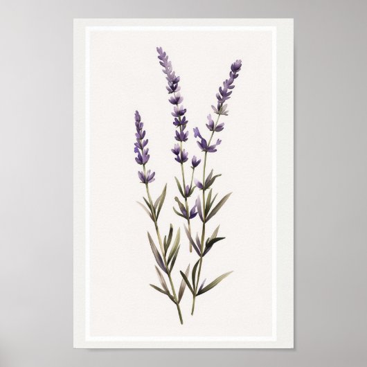 Minimalistische aquarel Lavendel Bloem Stammen Poster (Voorkant)