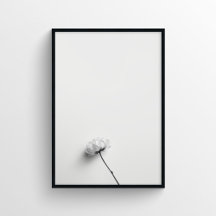 Minimalistische bloemenfotografie in monochroom
