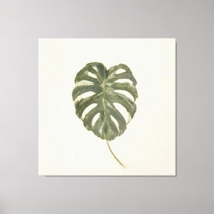 Minimalistische bontbladige Monstera-blad Vintage Canvas Afdruk