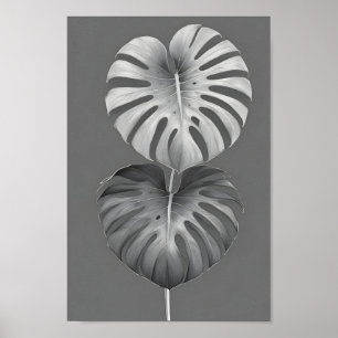 Minimalistische, elegante monochrome monstera albo poster