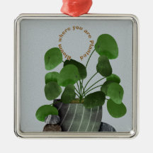 Minimalistische Geldplant - Premium Vierkant Ornam