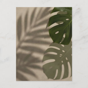 Minimalistische Groene Monstera Blad Tropische Sch Briefkaart
