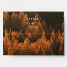 Minimalistische herfstbossen