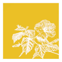 Minimalistische Hibiscus Bloemlijnkunst