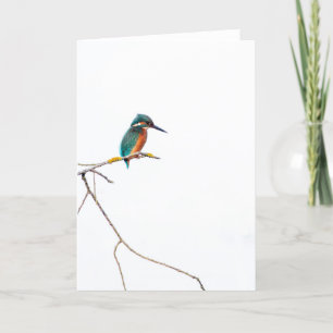 Minimalistische IJsvogel op wit voor vogelaars Kaart
