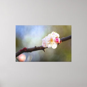 Minimalistische kunst van de Japanse pruimenbloese Canvas Afdruk