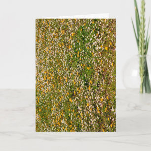 Minimalistische Lente Bloemen Madeliefjes Paardenb Kaart