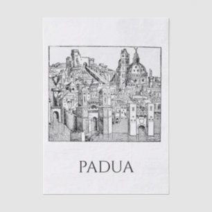 Minimalistische lijntekening van middeleeuwse Padu Tissuepapier