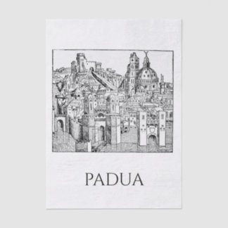 Minimalistische lijntekening van middeleeuwse Padu Tissuepapier