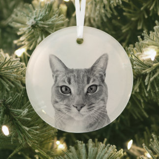 Minimalistische maak je eigen aangepaste huisdier  glas ornament