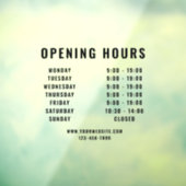 Minimalistische moderne openingsuren zwart voor be raamsticker (Vel 3)