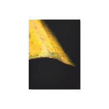 Minimalistische Natuurfotografie Blad in Schaduw
