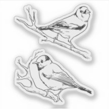 Minimalistische Noord-Amerikaanse Vogels Lijnkunst