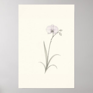 Minimalistische orchidee botanische schets wandkun poster