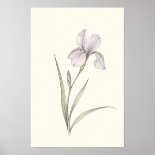 Minimalistische paarse iris botanische wandkunst poster