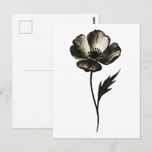 Minimalistische Papaver – Monochrome Botanische In Briefkaart