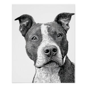 Minimalistische Pitbull Silhouet Zwart en Wit Perfect Poster