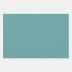 Minimalistische Professionele Moderne Duidelijke C Inpakpapier Vel