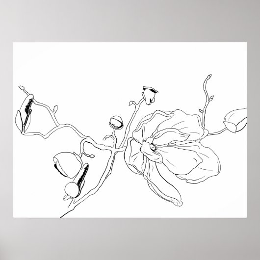 Minimalistische schets Single Magnolia Bloom Poster (Voorkant)