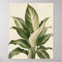 Minimalistische Tropische Botanische Blad Kunstpri