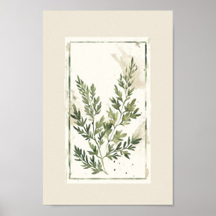 Minimalistische Waterverf varen laat botanisch Poster