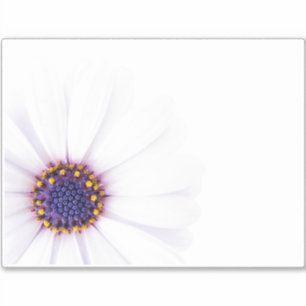 Minimalistische witte Daisy bloem op witte achterg Sticker