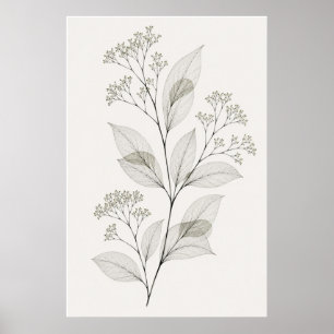 Minimalistische woonkamer botanische aderillustrat poster