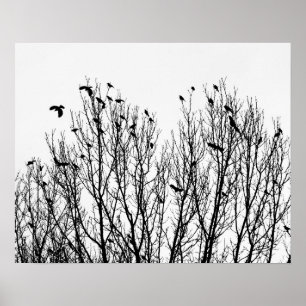 Minimalistische zwarte en witte foto van vogels in poster