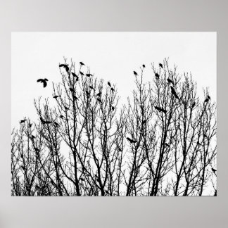 Minimalistische zwarte en witte foto van vogels in poster