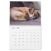 Minions World Kalender (Mar 2026)