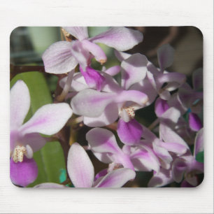 miniorchideeën muismat