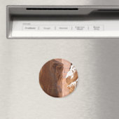 ministerie van Financiën Magneet (Insitu (Vaatwasser))