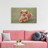 Miniture Dachshund Running Canvas Afdruk (Insitu (Woonkamer))