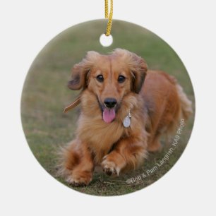 Miniture Dachshund Running Keramisch Ornament