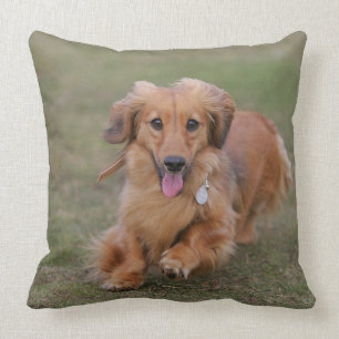 Miniture Dachshund Running Kussen