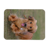 Miniture Dachshund Running Magneet (Horizontaal)