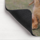 Miniture Dachshund Running Muismat (Hoek)