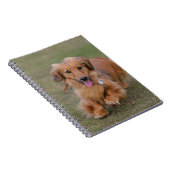 Miniture Dachshund Running Notitieboek (Rechterzijde)