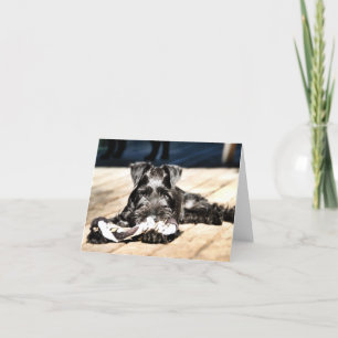 Miniture Schnauzer Note Kaart #2 - leeg