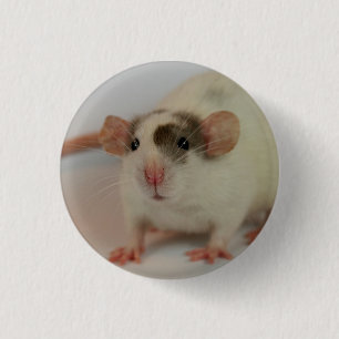 Mink dumbo Rat Ronde Button 3,2 Cm